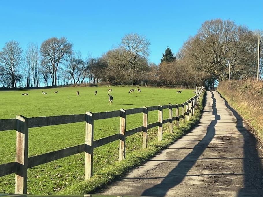 Arniss Farmhouse Fordingbridge Exterior foto